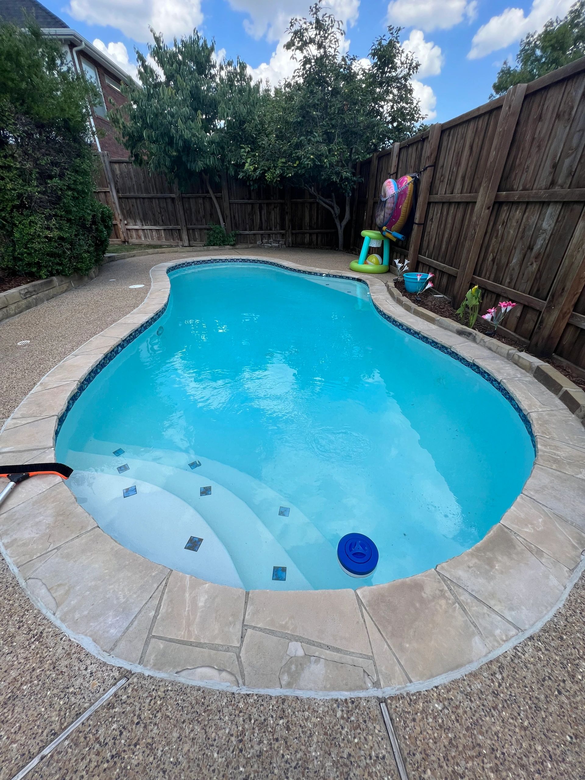 Curved kidney pool