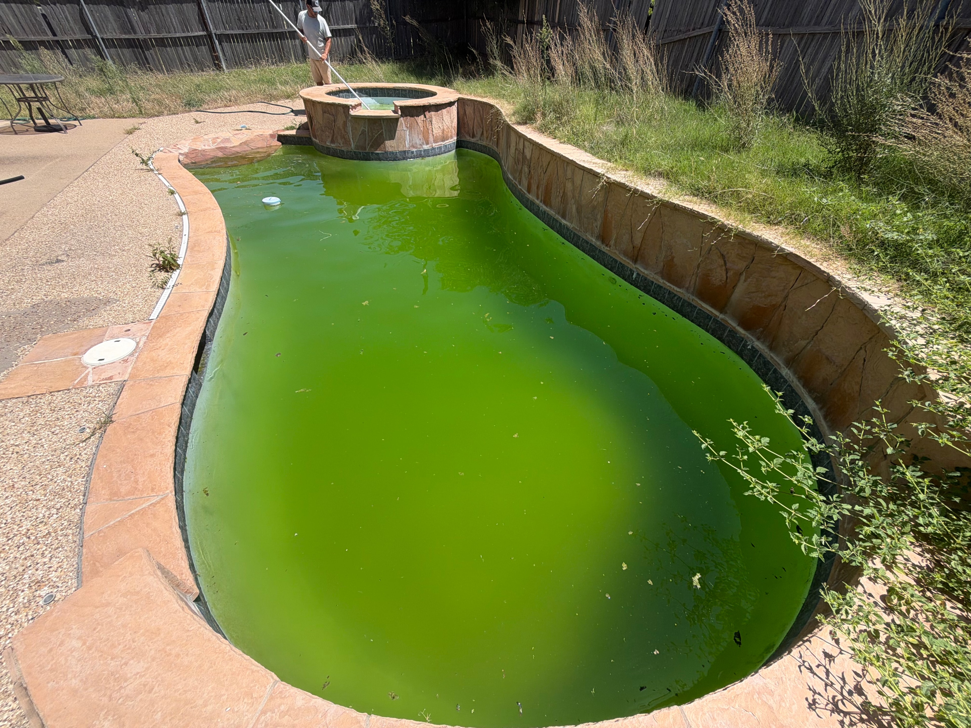 Green algae pool before cleaning — spa and pool view