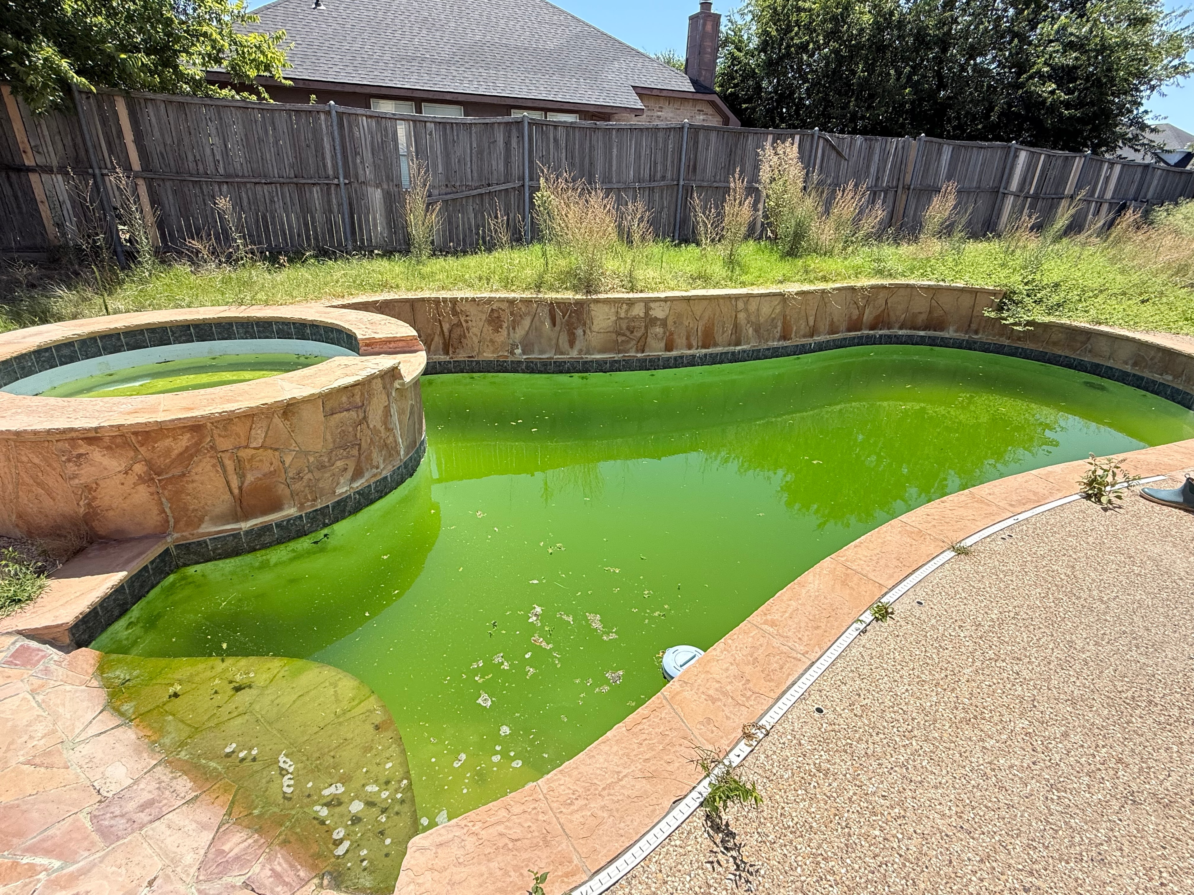 Green algae pool before cleaning — technician brushing
